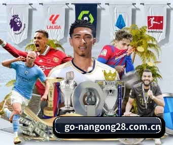 南宫28 APP(NanGong)